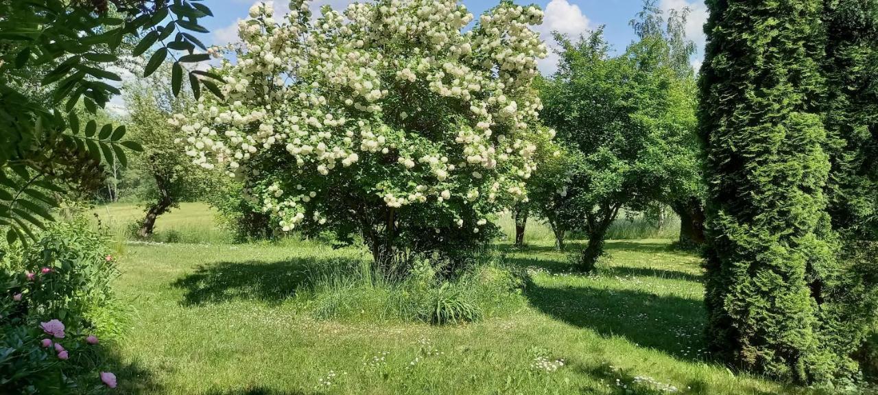 Dom Goscinny Lerka - 240 M2 Mazury Jeziora Lasy Lakorz Exterior foto