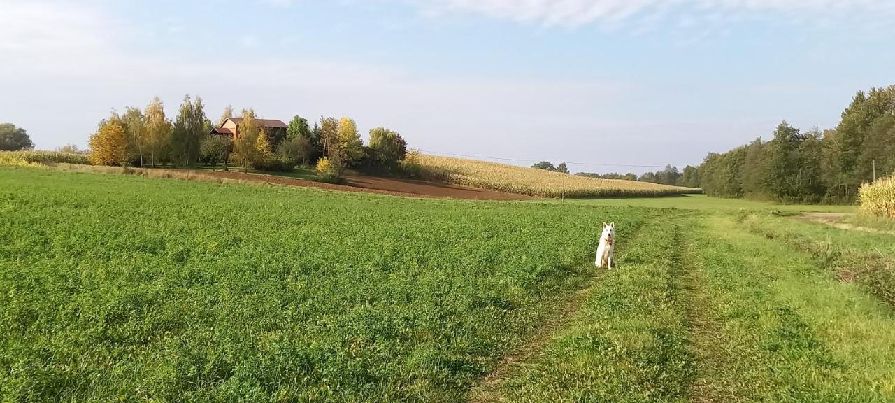 Dom Goscinny Lerka - 240 M2 Mazury Jeziora Lasy Lakorz Exterior foto
