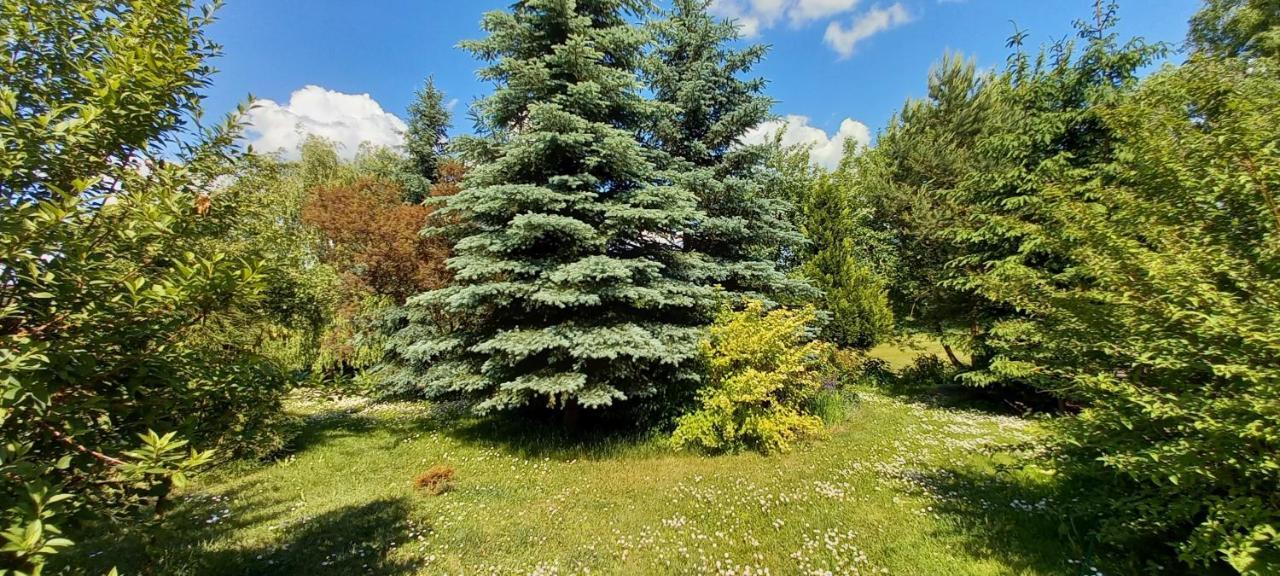 Dom Goscinny Lerka - 240 M2 Mazury Jeziora Lasy Lakorz Exterior foto