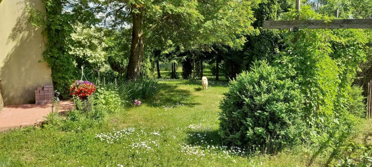 Dom Goscinny Lerka - 240 M2 Mazury Jeziora Lasy Lakorz Exterior foto