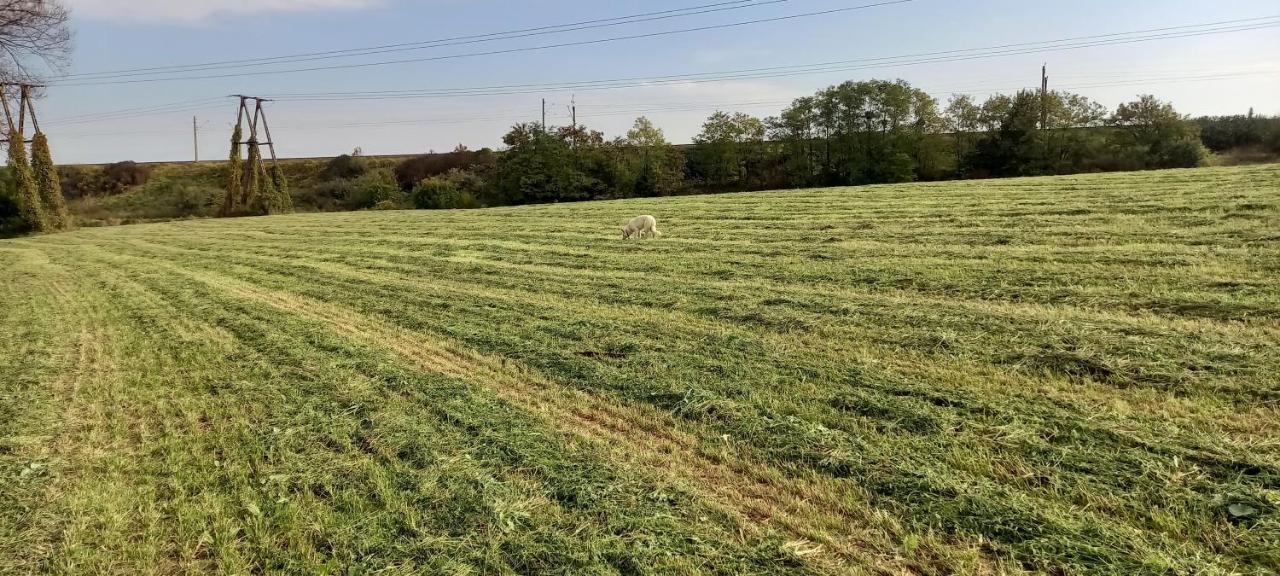 Dom Goscinny Lerka - 240 M2 Mazury Jeziora Lasy Lakorz Exterior foto